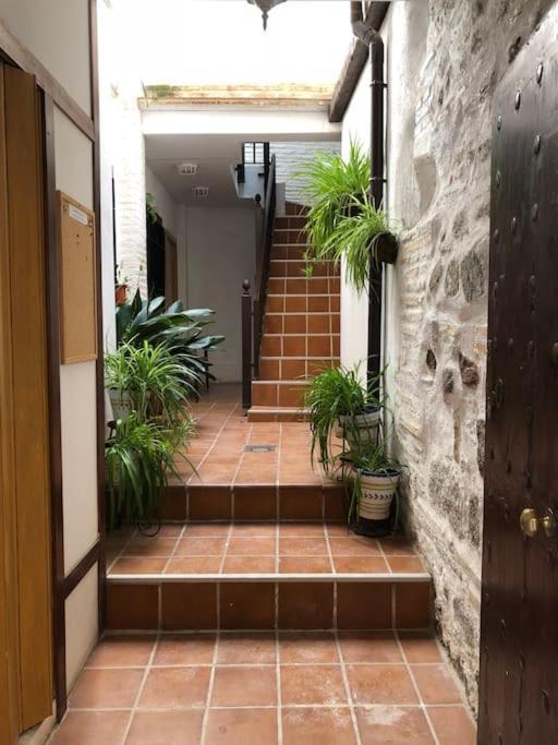 Apartamento Coqueto En Pleno Casco Antiguo Διαμέρισμα Τολέδο Εξωτερικό φωτογραφία